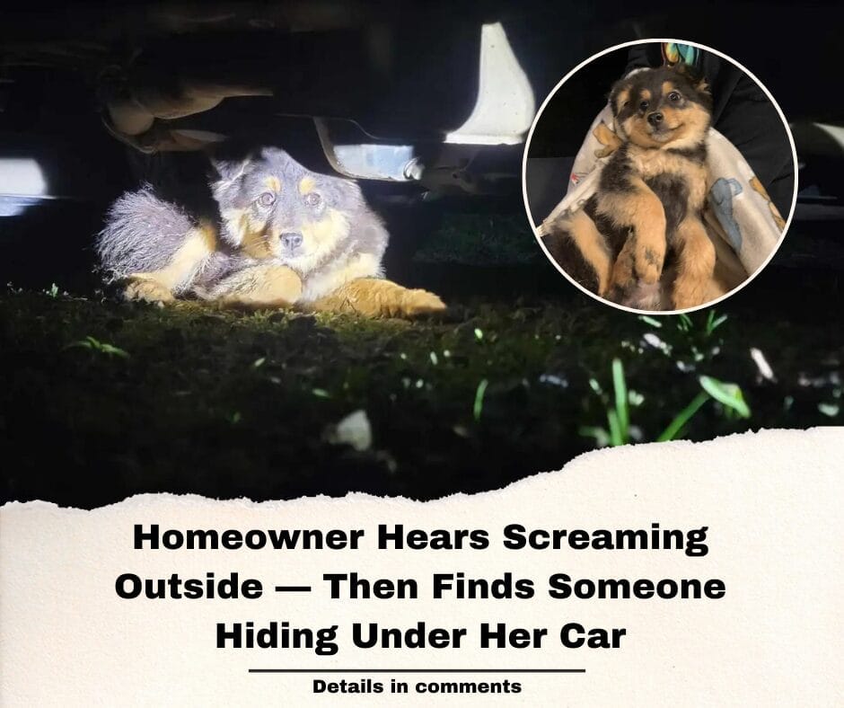 Homeowner Hears Screaming Outside — Then Finds Someone Hiding Under Her Car