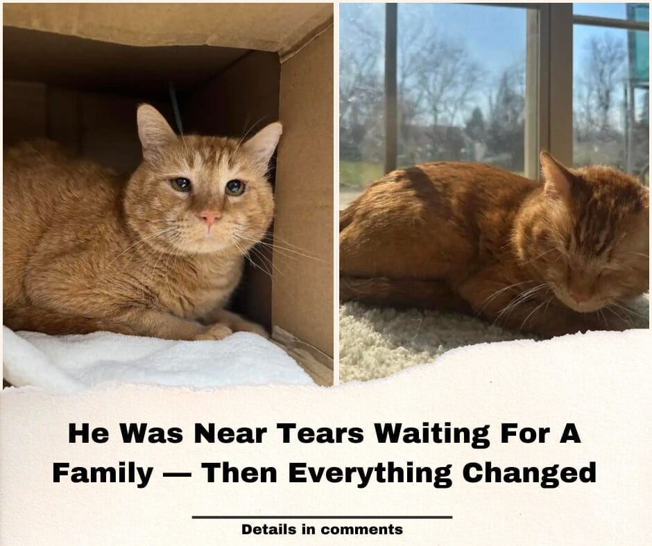 He Was Near Tears Waiting For A Family — Then Everything Changed