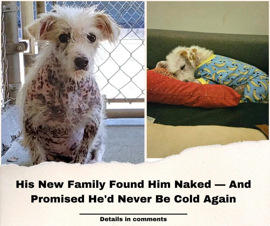 His New Family Found Him Naked — And Promised He’d Never Be Cold Again