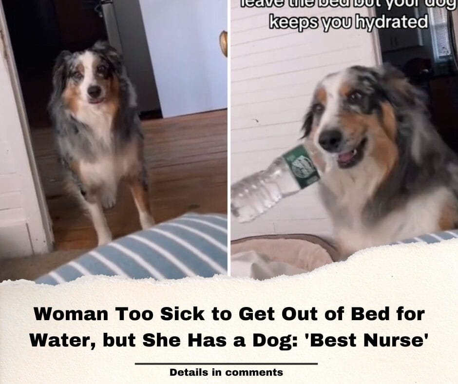 Woman Too Sick to Get Out of Bed for Water, but She Has a Dog: ‘Best Nurse’